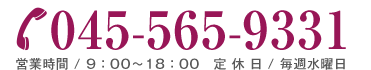 045-565-9331